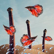 Mi Proyecto del curso: Introducción a Adobe Photoshop. Un progetto di Design, Graphic design, Postproduzione fotografica e Ritocco fotografico di Martaj Mendoza - 20.08.2021