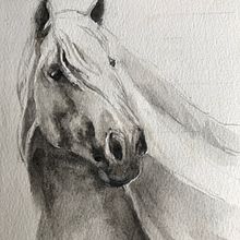 My project in Expressive Animal Portraits in Watercolor course. Traditional illustration, Watercolor Painting, Realistic Drawing, and Naturalistic Illustration project by jartrap - 08.30.2021