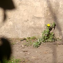 Proyecto para Curso: Introducción a la fotografía narrativa. Un proyecto de Fotografía, Stor, telling, Fotografía artística, Narrativa y Fotografía en interiores de Matías López Czeczujka - 20.08.2021