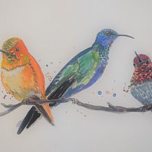 My project in Artistic Watercolor Techniques for Illustrating Birds course. Traditional illustration, Watercolor Painting, Realistic Drawing, and Naturalistic Illustration project by Sharon Guy - 08.20.2021