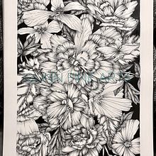 Peonies . Un proyecto de Ilustración tradicional de CM Gunn - 19.08.2021