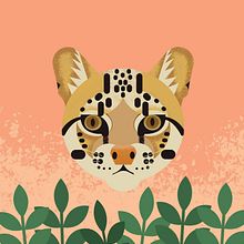 Mi Proyecto del curso: Ilustración vectorial: personalidad y color. Fauna del Bosque de Niebla, Colombia. . Traditional illustration, Graphic Design, Vector Illustration, and Digital Illustration project by Stefanny Santa Bejarano - 08.11.2021