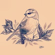 Drawings. Un progetto di Illustrazione tradizionale di Siegrun Hornaus - 20.08.2021