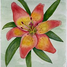 Mi Proyecto del curso: Acuarela botánica: ilustra la anatomía de las flores. Een project van Traditionele illustratie,  Beeldende kunst, Schilderij,  Tekening, Aquarelschilderen y  Botanische illustratie van arqvalminetti - 20.08.2021