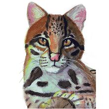 My project in Scientific Illustration of Animals in Watercolor  course Ein Projekt aus dem Bereich Traditionelle Illustration, Aquarellmalerei, Realistische Zeichnung und Naturalistische Illustration von Camryn DRubio - 21.08.2021