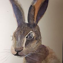 My project in Experimental Watercolor Techniques for Beginners course. Traditional illustration, Fine Arts, Watercolor Painting, and Naturalistic Illustration project by Tia - 08.21.2021