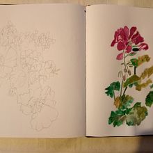 Fleur Botanical. Advertising, and Traditional illustration project by Cliona Ryan - 08.22.2021