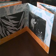 Display concertina artist book. Printing, and Bookbinding project by jean burke - 08.22.2021