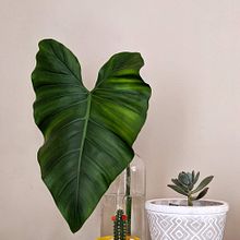 Mi Proyecto del curso: Fotografía profesional para Instagram Ein Projekt aus dem Bereich Werbung, Fotografie, Marketing, Social Media, Smartphonefotografie, Produktfotografie, Mobile Marketing, Instagram, Fotografie für Instagram, Lifest und le-Fotografie von Nicole Casanova - 22.08.2021