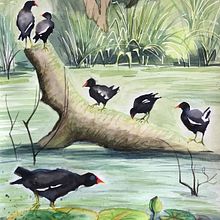 My project in Illustrating Nature: Palmers Rough Pond Ein Projekt aus dem Bereich Traditionelle Illustration, Malerei, Zeichnung, Aquarellmalerei, Illustration mit Tinte und Naturalistische Illustration von Vicky - 22.08.2021