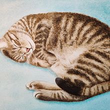 My project in Expressive Animal Portraits in Watercolor course. Traditional illustration, Watercolor Painting, Realistic Drawing, and Naturalistic Illustration project by Frances Walker - 08.23.2021