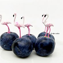Flamingo.  project by ell.wittke - 08.23.2021