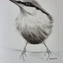 Second project - Crows in watercolour. Traditional illustration, Watercolor Painting, Realistic Drawing, and Naturalistic Illustration project by Sabina Kunder Ricci - 08.23.2021