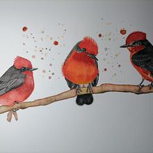 Mi Proyecto del curso: Acuarela artística para ilustración de aves. Un proyecto de Ilustración tradicional, Pintura a la acuarela, Dibujo realista e Ilustración naturalista				 de Monica Guardamino Salvador - 24.08.2021