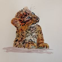 My project in Expressive Animal Portraits in Watercolor course. Traditional illustration, Watercolor Painting, Realistic Drawing, and Naturalistic Illustration project by Denise Martin - 08.24.2021