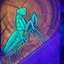 Mantis. Fine Arts project by Mike Degrazia - 01.31.2020
