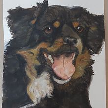 Mi perro de la infancia Pity en acuarelas. Traditional illustration, and Watercolor Painting project by Sara Martínez - 08.24.2021