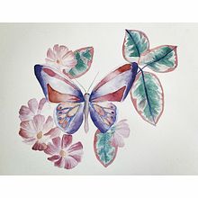 My project in Naturalist Illustrations with Watercolors: Drawing and Composition course. Ilustração tradicional, Desenho, Pintura em aquarela e Ilustração naturalista projeto de Katrien - 24.08.2021