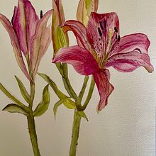 Meu projeto do curso: Aquarela botânica: ilustre a anatomia das flores. Un proyecto de Ilustración tradicional, Bellas Artes, Pintura, Dibujo, Pintura a la acuarela e Ilustración botánica de Teresa Pereira - 23.08.2021