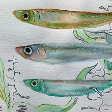 Mein Kursprojekt: Aquarellillustration von Meereswelten  Ein Projekt aus dem Bereich Traditionelle Illustration, Malerei, Aquarellmalerei und Naturalistische Illustration von Svetlana - 24.08.2021