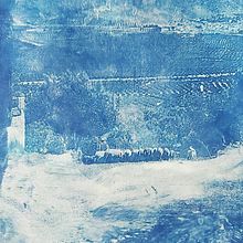 Cianotipiando. Een project van Craft,  Beeldende kunst, Printen, DIY y  Analoge fotografie van cmrico25 - 24.08.2021