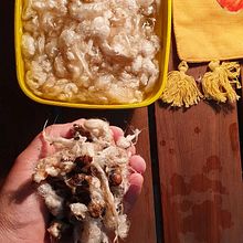 Meu projeto do curso: Elaboração artesanal de papel . % nanacmoraes tarafından hazırlanan Sanat ve El Sanatları, Güzel sanatlar, Ve Kendin Yap projesi - 08.24.2021