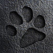 Meu projeto House Mix do Curso: Introdução à percussão: descubra a magia dos ritmos. Un projet de Musique , et Production musicale de Wallas Amorim - 23.08.2021