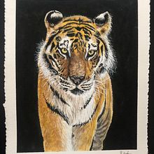 animal portraits . Traditional illustration, Fine Arts, Painting, and Naturalistic Illustration project by John Keselyak - 08.25.2021