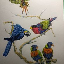 Parrots #2. Watercolor Painting, Fine Arts, and Naturalistic Illustration project by John Keselyak - 08.25.2021