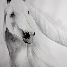 My project in Expressive Animal Portraits in Watercolor course. Un proyecto de Ilustración tradicional, Pintura a la acuarela, Dibujo realista e Ilustración naturalista				 de Carol Hofmann - 25.08.2021