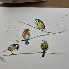 My project in Artistic Watercolor Techniques for Illustrating Birds course with Sarah Stokes. Een project van Aquarelschilderen y Traditionele illustratie van Jaine Tawton - 25.08.2021