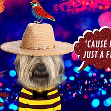 Mi Proyecto del curso: Introducción al storytelling personal. Cop, writing, Stor, telling, Marketing de conteúdo, e Comunicação projeto de Jessica Cardozo - 26.08.2021