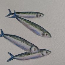 My project in Marine Universe Illustration in Watercolor course. Traditional illustration, Painting, Watercolor Painting, and Naturalistic Illustration project by sarah.addy - 08.12.2021