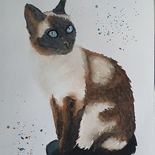 My project in Expressive Animal Portraits in Watercolor course. Un progetto di Illustrazione tradizionale, Pittura ad acquerello, Disegno realistico e Illustrazione naturalistica di Christina van den Ende - van Duren - 26.08.2021