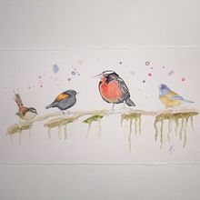 Mi Proyecto del curso: Aves de la Patagonia. Un proyecto de Ilustración tradicional, Pintura a la acuarela, Dibujo realista e Ilustración naturalista				 de Juanjo Soto Sanhueza - 27.08.2021