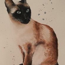 Siamese cat. Painting project by Celeste Delaney - 08.27.2021