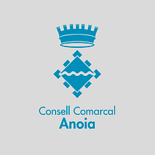 Consell Comarcal de l'Anoia. Brandbook 2018. Design project by Anna Costa - 08.27.2021