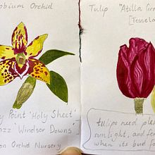 My project in Daily Sketching for Creative Inspiration course. Un proyecto de Ilustración tradicional, Bocetado, Creatividad, Dibujo y Sketchbook de Caitlin Walker Bruns - 27.08.2021