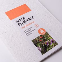 Paper Plantable. Museu Molí Paperer de Capellades. Design, and Photograph project by Anna Costa - 08.27.2021