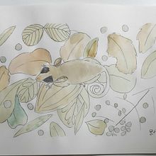 Meu projeto do curso: Ilustração em aquarela com influência japonesa . % Nayara Yoshie Sano tarafından hazırlanan Geleneksel illüstras, on, Çizim, Sulubo, Ve a Resim projesi - 08.27.2021