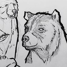 Sketch Jungle Book. Projekt z dziedziny Trad, c, jna ilustracja, Sketching, Kreat, wność,  R, sunek i Sketchbook użytkownika miguel angel quintero - 28.08.2021