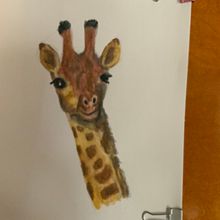 Mi Proyecto del curso: Técnicas experimentales de acuarela para principiantes . Un proyecto de Ilustración tradicional, Bellas Artes, Pintura a la acuarela e Ilustración naturalista				 de Marcela Pacheco Weber - 28.08.2021