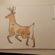My project in Animal Illustration: Capturing Wildlife in a Sketchbook course. Projekt z dziedziny Trad, c, jna ilustracja,  Kolaż, Sketchbook, Ilustracja naturalist i czna użytkownika Samantha de Mattos - 28.08.2021