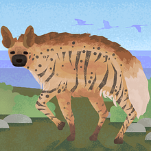 The stripped hyena. Vector Illustration, Digital Illustration, and Children's Illustration project by sami - 07.25.2021