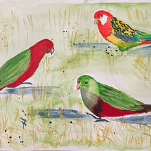 My project in Artistic Watercolor Techniques for Illustrating Birds course. Un proyecto de Ilustración tradicional, Pintura a la acuarela, Dibujo realista e Ilustración naturalista				 de Angela Patterson - 29.08.2021