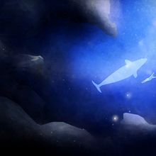 Chasing Stars. Un projet de Animation 2D, Animation, Réalisation , et Cinéma, vidéo et télévision de Laura Aldofredi - 01.01.2020