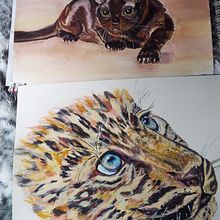 Sable Burmese cat - My project in Expressive Animal Portraits in Watercolor course. Projekt z dziedziny Malowanie akwarelą, Ilustracja naturalist, czna, Trad, c, jna ilustracja, R, sunek realist i czn użytkownika pronker_therover - 29.08.2021