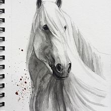 My project in Expressive Animal Portraits in Watercolor course. Traditional illustration, Watercolor Painting, Realistic Drawing, and Naturalistic Illustration project by piyo - 08.17.2021