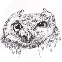 Pen and Ink Sketch . Ilustração tradicional, Artes plásticas, Esboçado, Criatividade, Desenho artístico, Sketchbook e Ilustração com tinta projeto de Tracey Preston - 05.07.2019