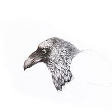 Pen and Ink Sketch - Commission work. Ilustração tradicional, Desenho, Criatividade, Artes plásticas, Esboçado, Interiores e Ilustração com tinta projeto de Tracey Preston - 18.05.2019